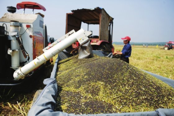 為什么微生物肥料是土壤污染的克星？