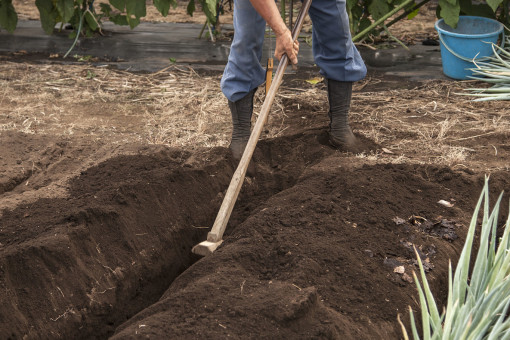 ?關(guān)于化肥的用途，化肥廠(chǎng)家為我們介紹