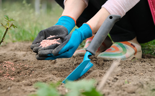化肥廠(chǎng)家對農業(yè)的作用